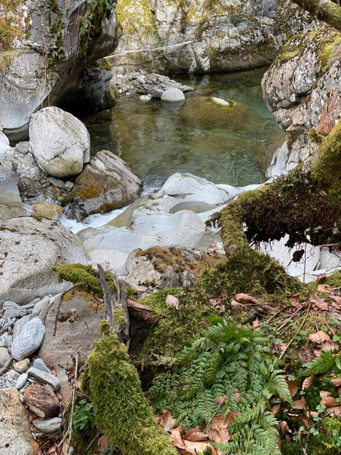 Вілла La Bergerie Marie Saint-Aventin Екстер'єр фото